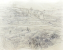  Fields (China) - 2006, pen on tracing paper, 105x130cms